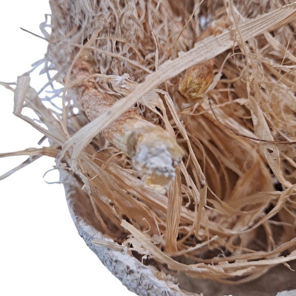 Primitive Hand Painted Paper Mache Bunnies In An Egg Basket Folk Art Figurines - Picture 8 of 9